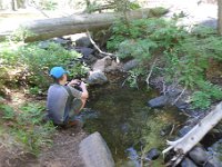 YosemiteCreek 080 : YosemiteCreek